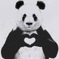 Karady Beatz Profile Picture