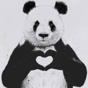 Karady Beatz Profile Picture